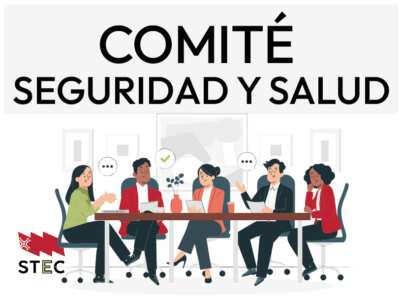 COMITE-SEGURIDAD-Y-SALUD