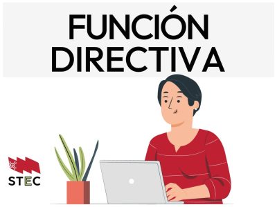 FUNCION DIRECTIVA